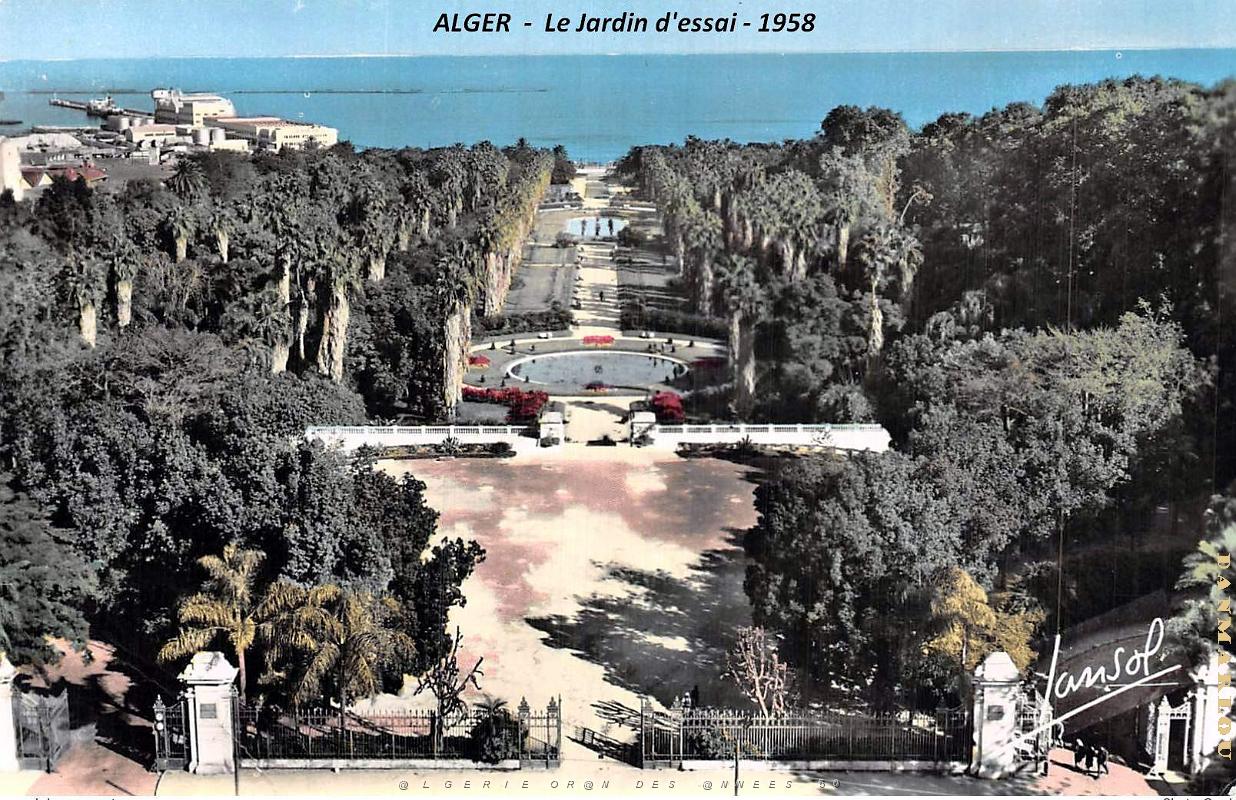 Alger- Jardin d'essai - 1958.jpg